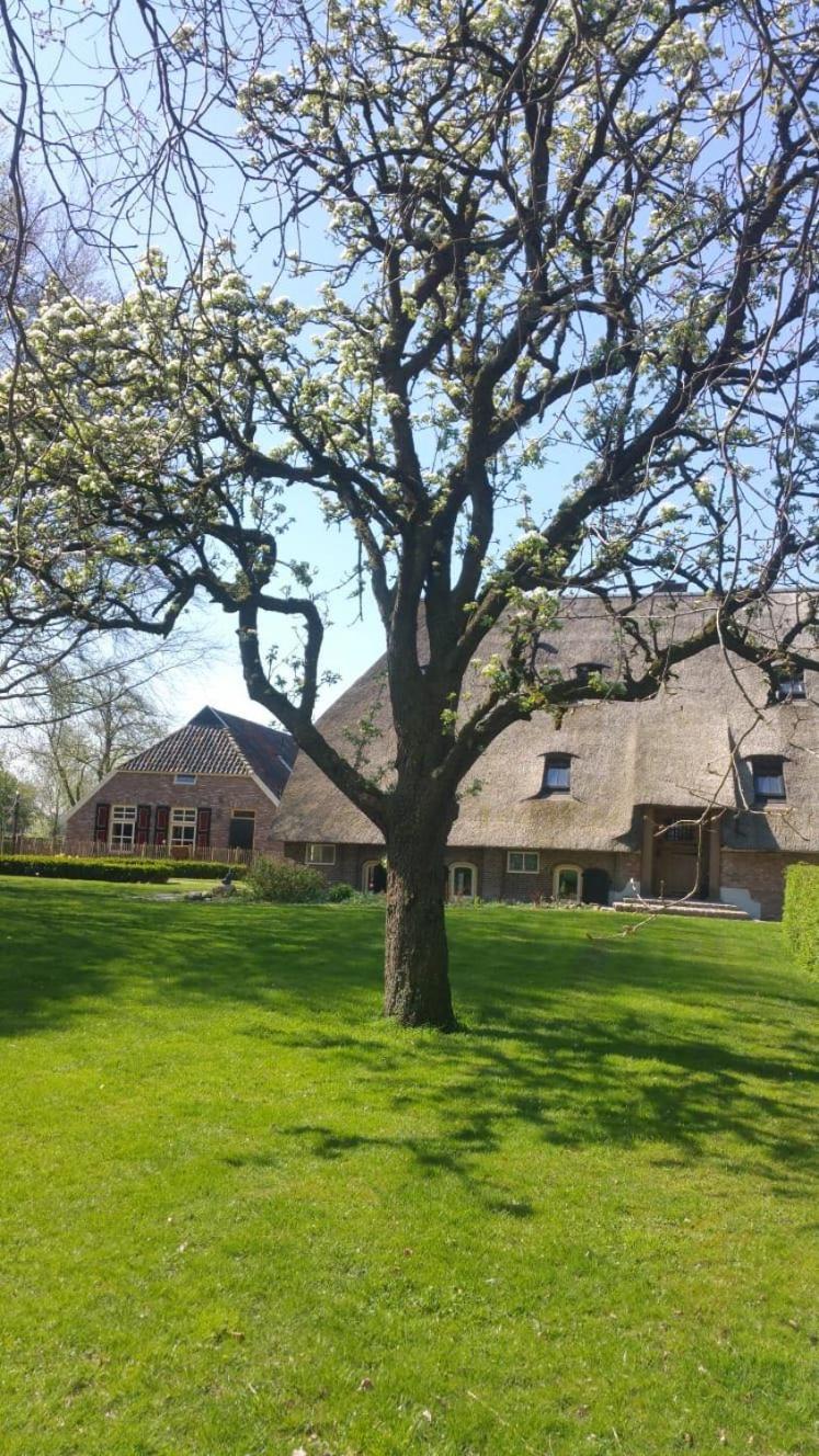 Landgoed Groot Boerle Bed & Breakfast Wijhe Bagian luar foto